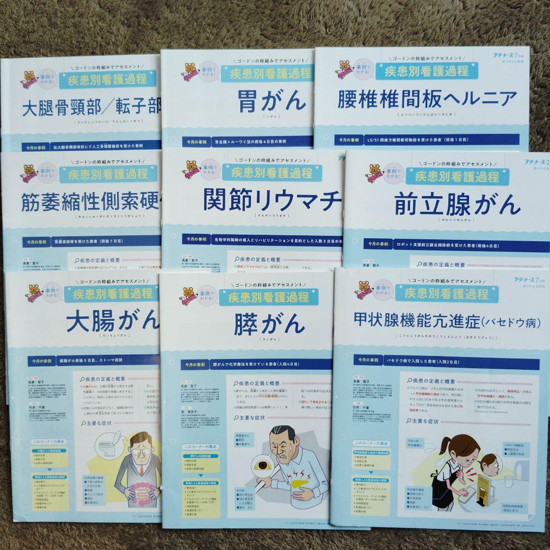 プチナース　疾患別看護過程　老年看護過程