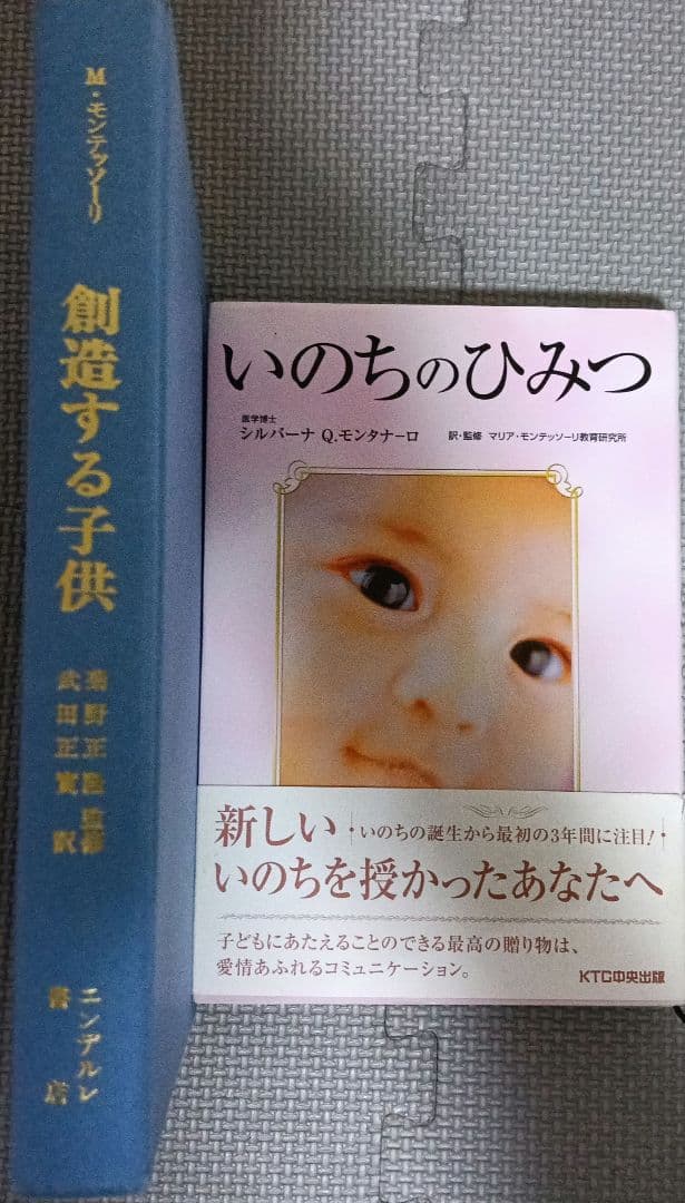 元モンテッソーリ教師秘蔵の教育書セット全１９冊