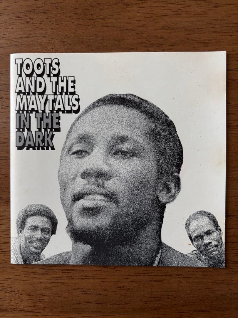 洋楽 IN THE DARK / TOOTS AND THE MAYTALS