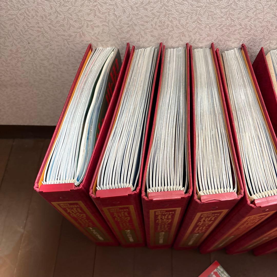 週刊朝日百科　植物の世界 全145冊セット別冊きのこの世界5冊