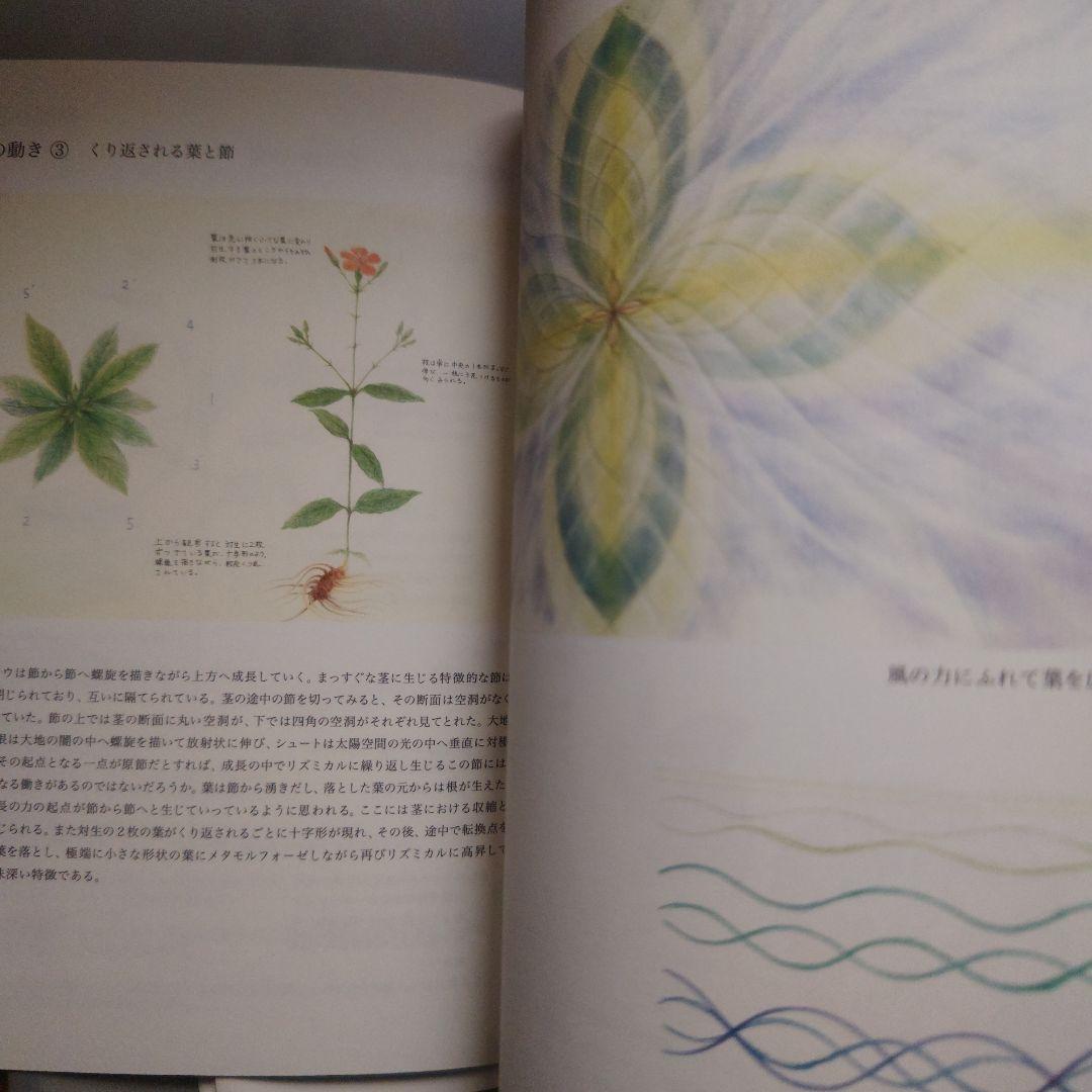 値下げしました★ アトリエルリユール　シュタイナー　植物観察プロジェクト