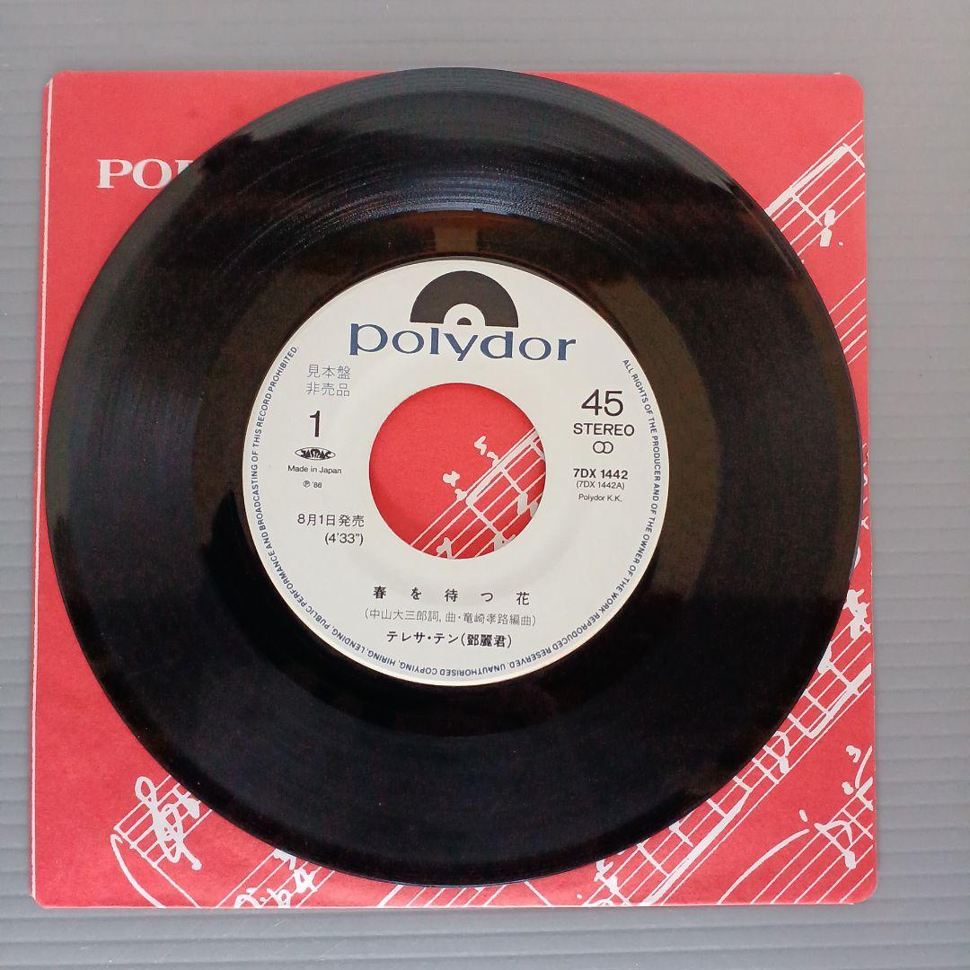 テレサ・テン　春を待つ花　レコード見本盤　匿名配送　 見本盤(非売品)　匿名配送