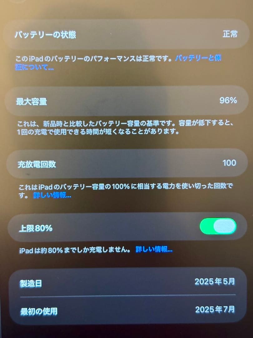 極美品★特典付★iPad mini 第7世代 128GB A17 Pro グレー