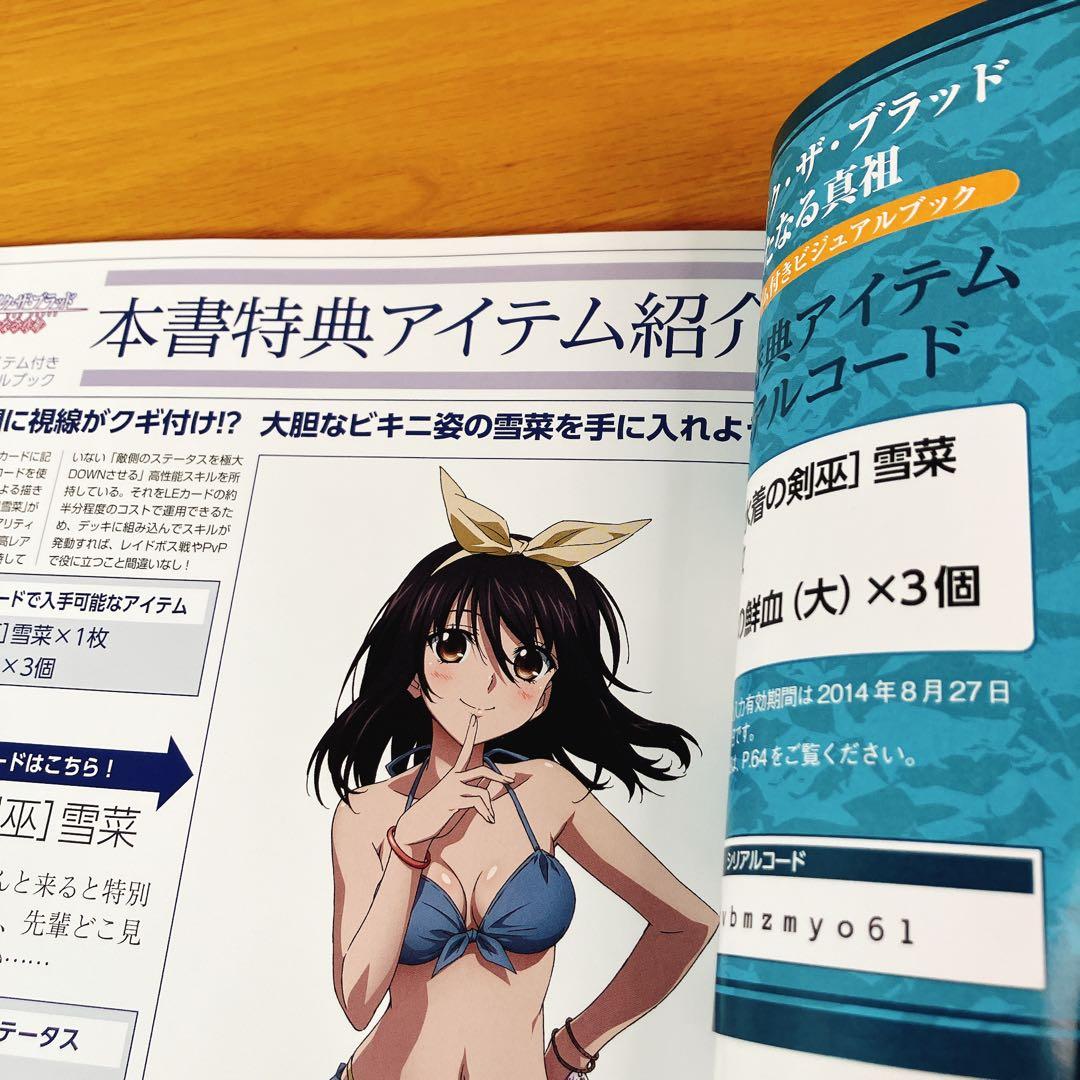【美品】ストライク・ザ・ブラッド 新たなる真祖 ビジュアルブック 特典付き