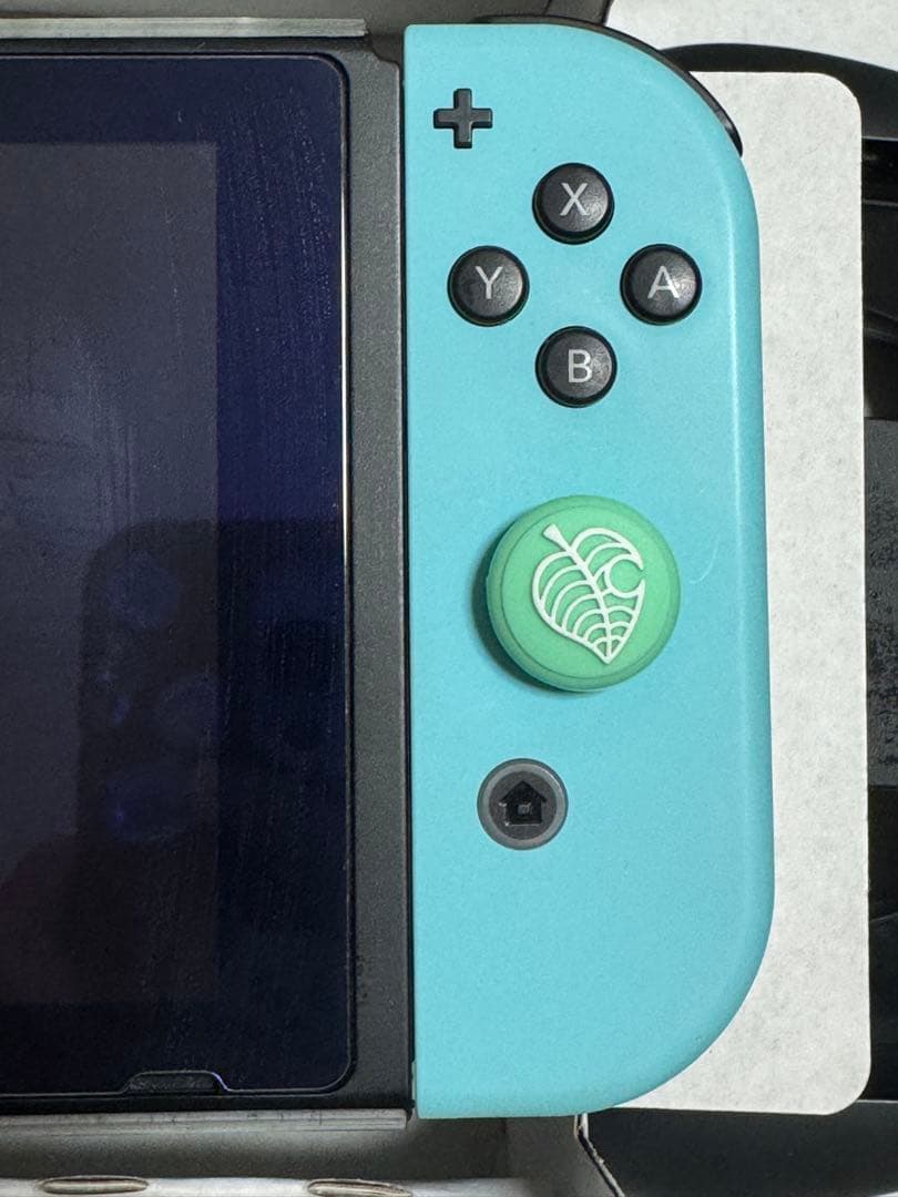 ​Switch あつまれどうぶつの森セット 64GB SD ケース　バッグ　攻略