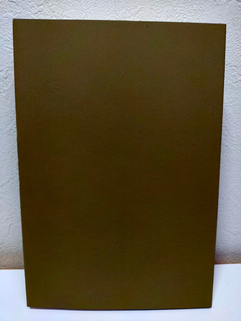芹沢光治良文学館 5 (教祖様)