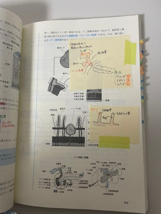 東京アカデミー 看護学