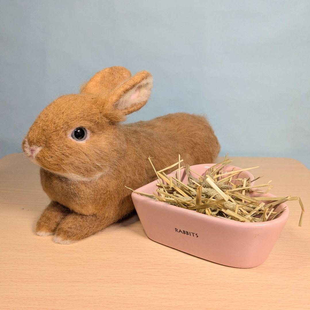 羊毛フェルト　うさぎ　まったりオレンジドワーフ　のあ
