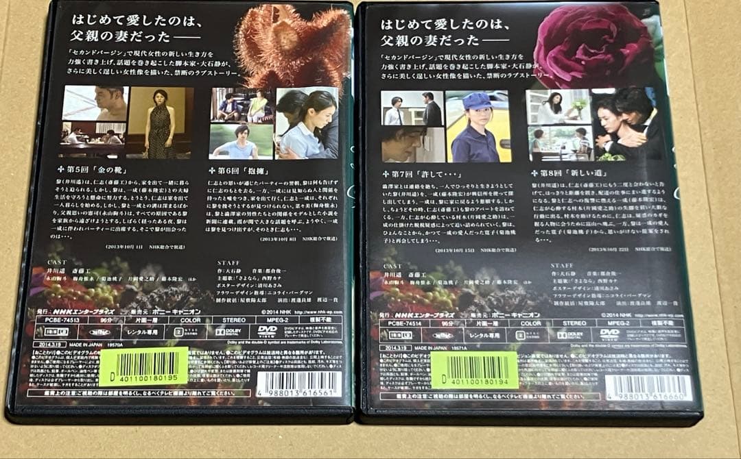 ガラスの家 DVD 5巻セット　井川遥　斎藤工