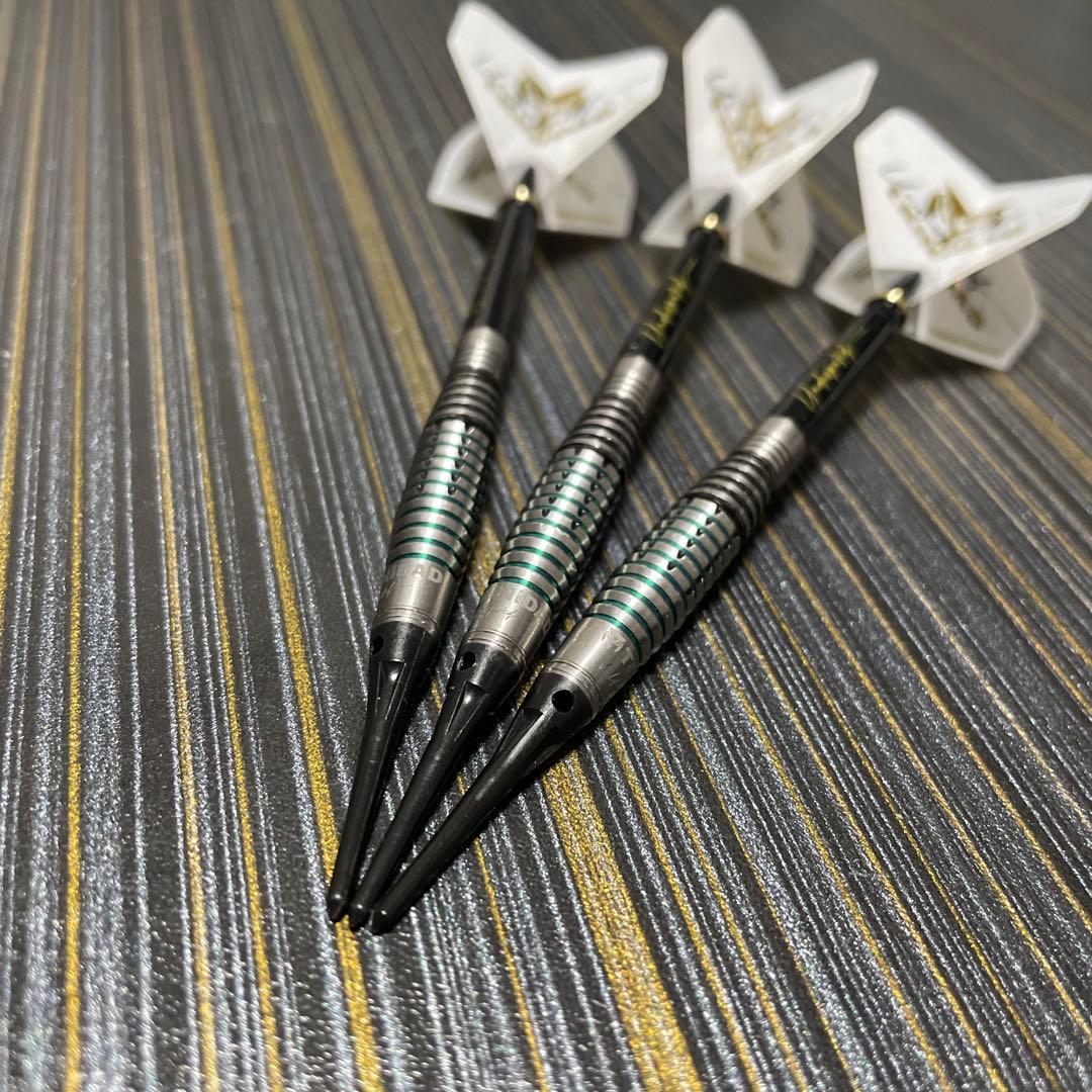 定価14800円 ソフトダーツ 大人気モデル 投げやすい リカルド ロペス