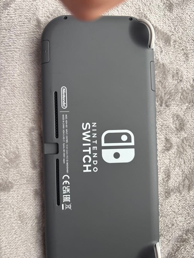 Nintendo Switch Lite 本体 + ACアダプター　今日のみ値下