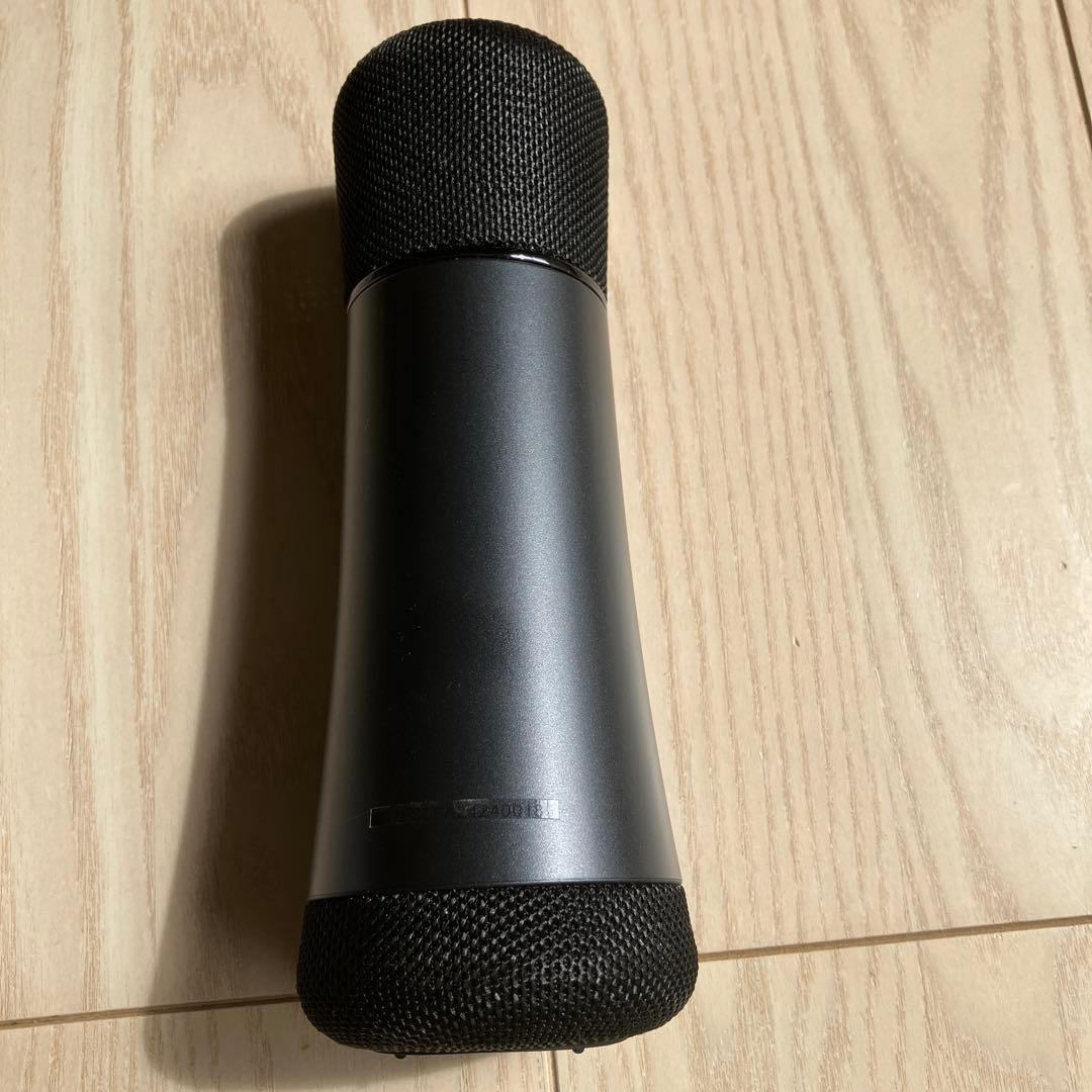 PHILIPS フィリップス ワイヤレスマイク DLM9317C
