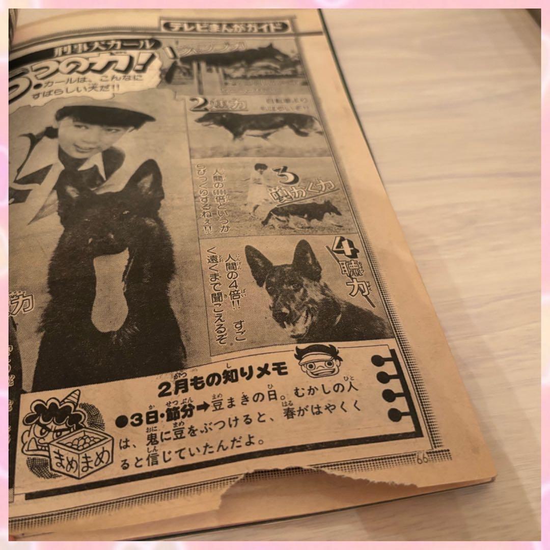 テレビランド 1978年　3月号
