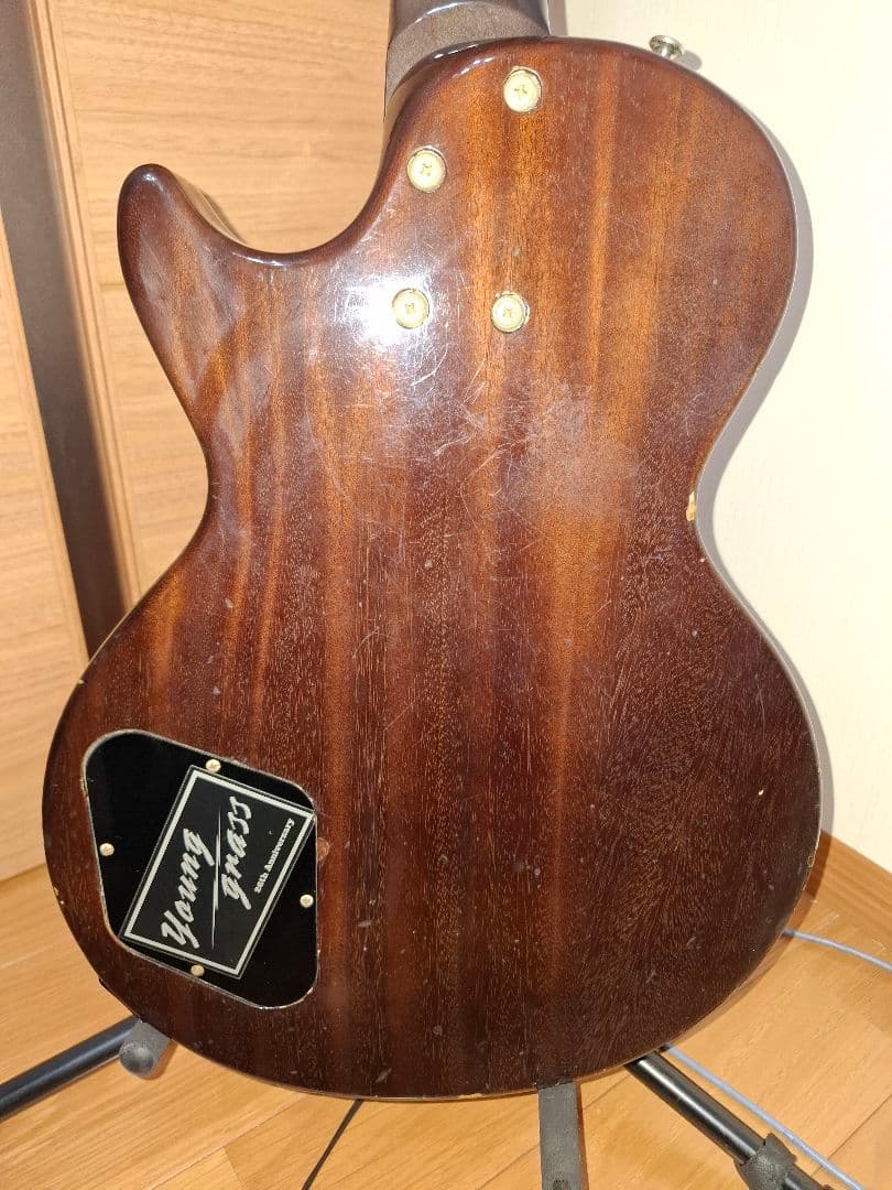 Edwards E-LP-85 シースルーブラック