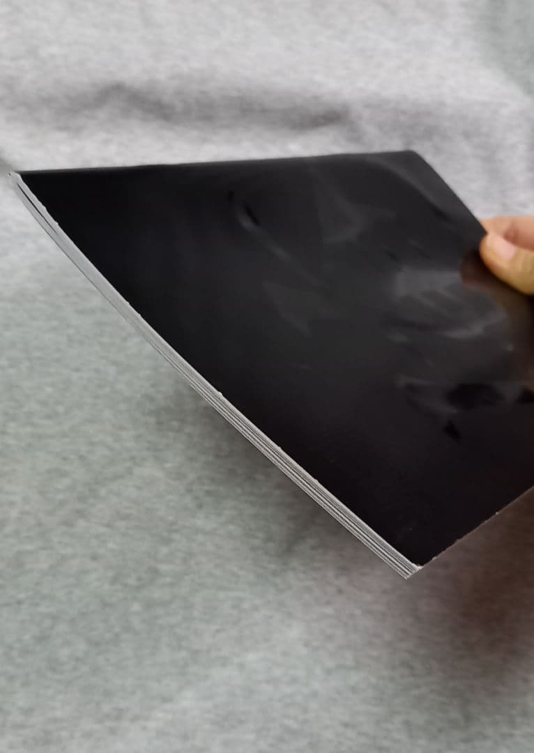 エレファントカシマシ　俺の道　パンフレット