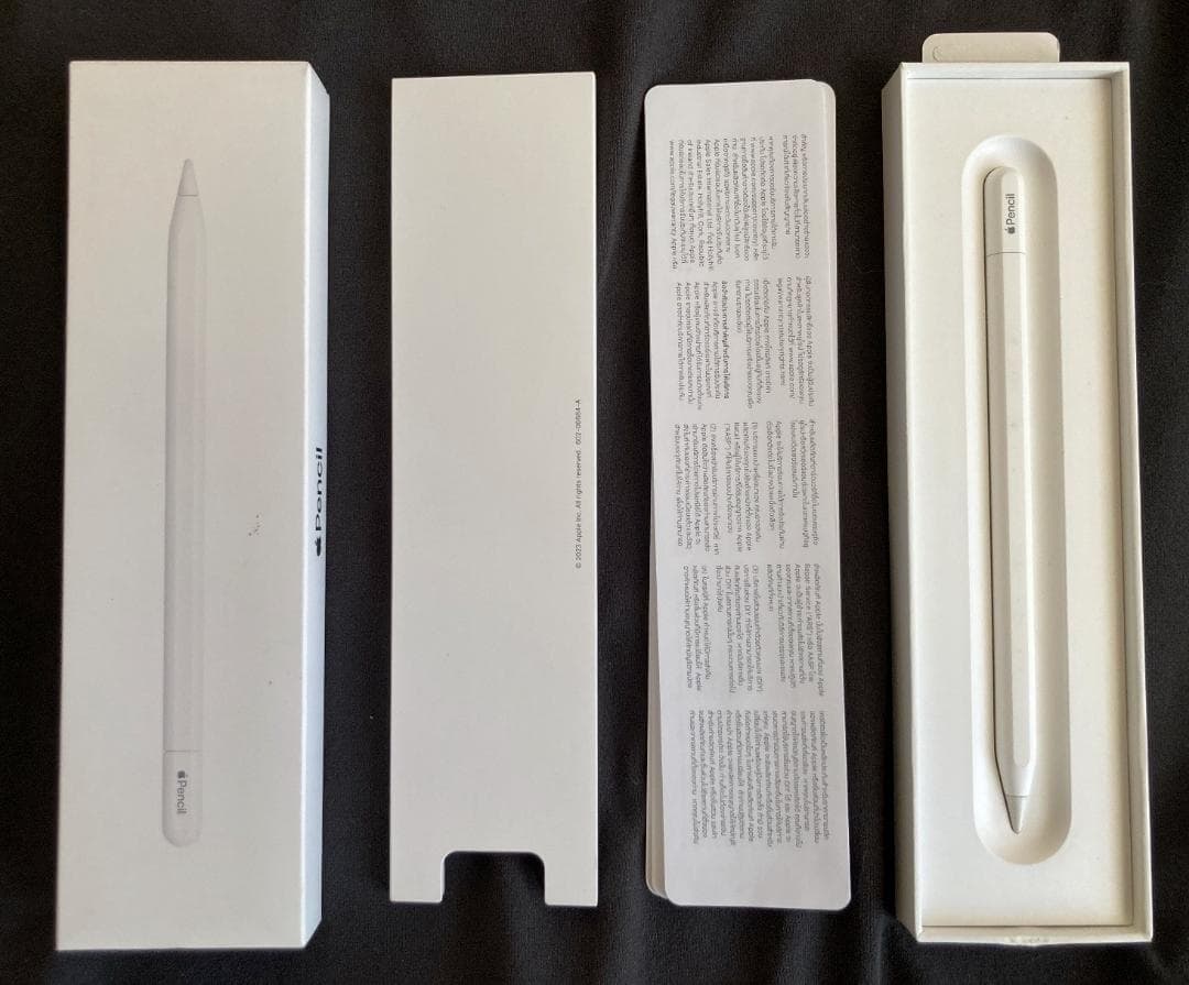 Apple Pencil (USB-C) 箱付き