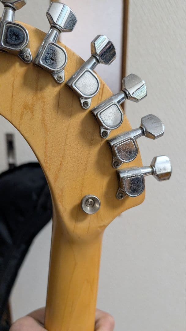 FERNANDES ZO-III 　ZO-3 ゾーさん　グレー系