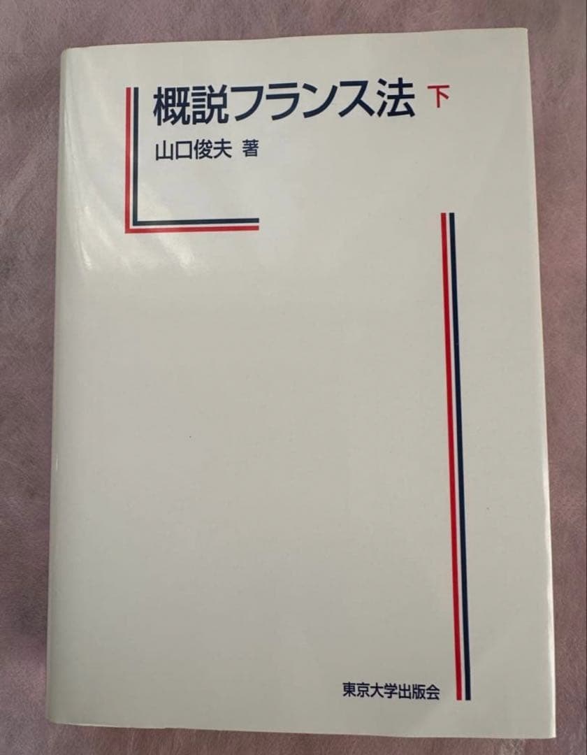 概説フランス法 下