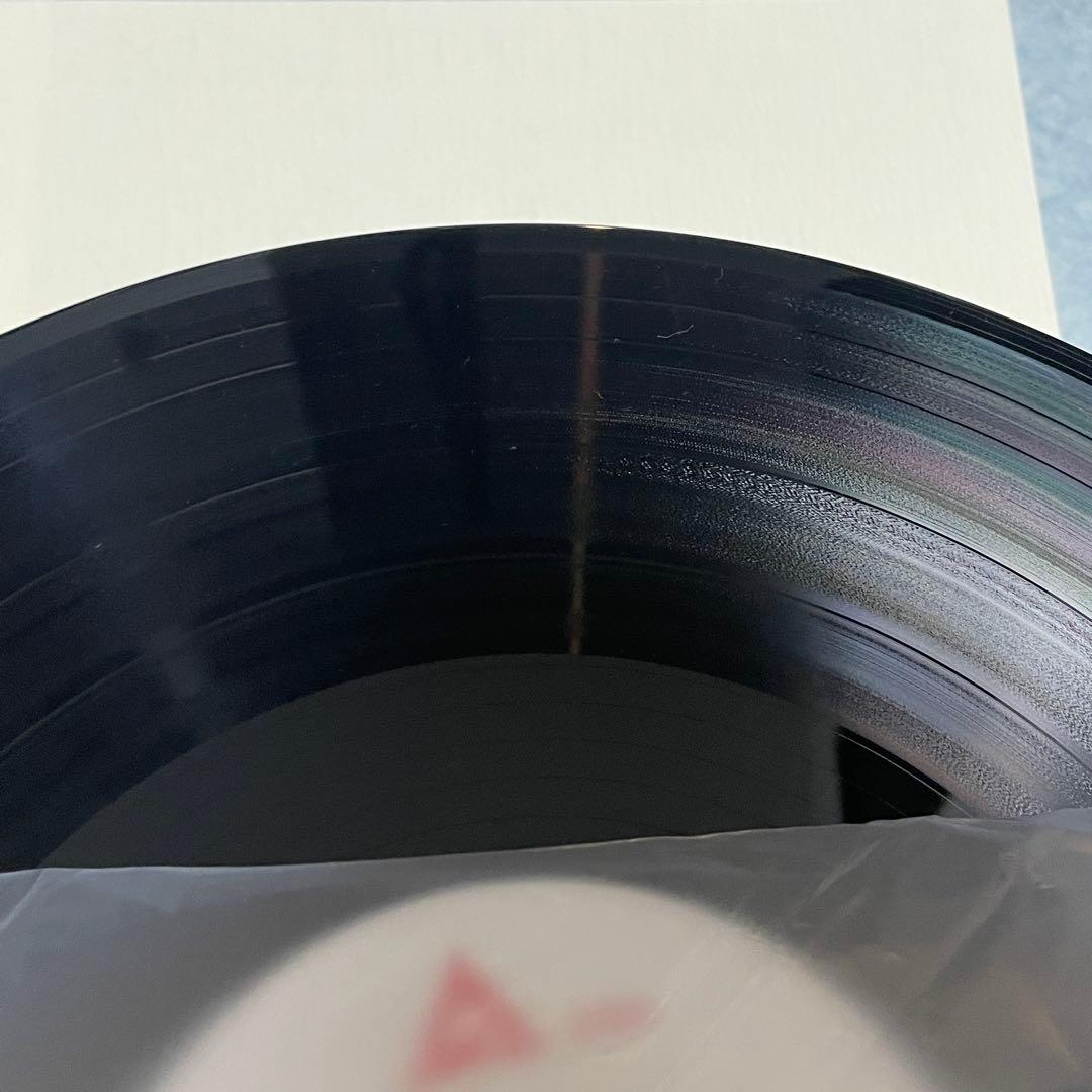 ひとつぶの海　 REALITY IN LOVE 日向敏文　レコード　2021盤