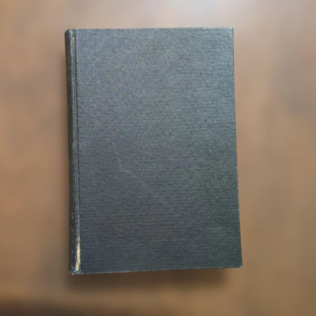 弁栄聖者　光明大系　無辺光