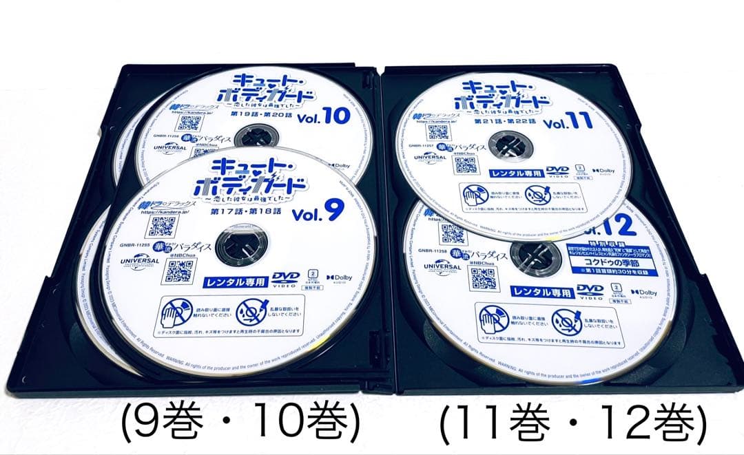 キュート・ボディガード 〜恋した彼女は最強でした〜 【全12巻】　DVD 全巻