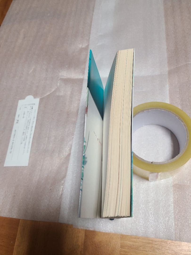 沙耶の唄