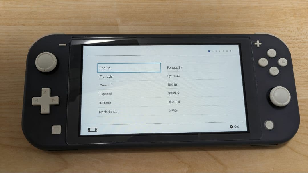 【箱・充電器・ケース付】Nintendo Switch Lite グレー