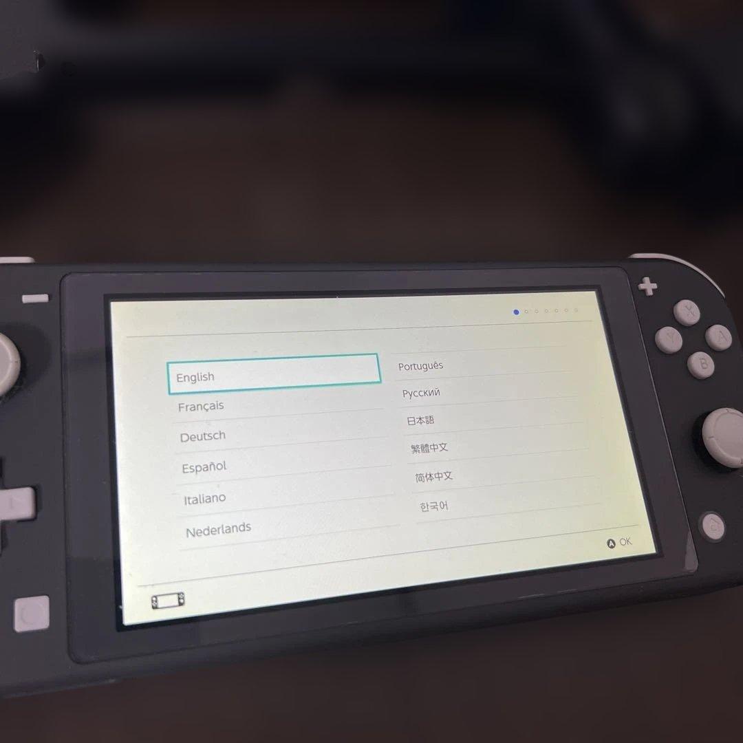 Nintendo Switch Lite グレー　グリップ　充電器付き