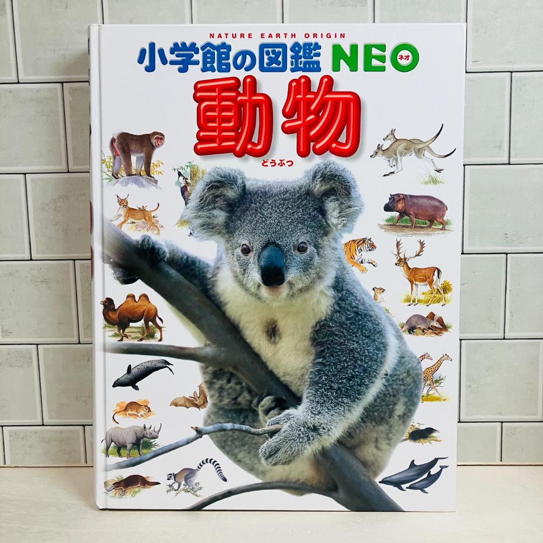 【 Amari】小学館の図鑑NEO5冊＋プレNEO3冊 合計8冊