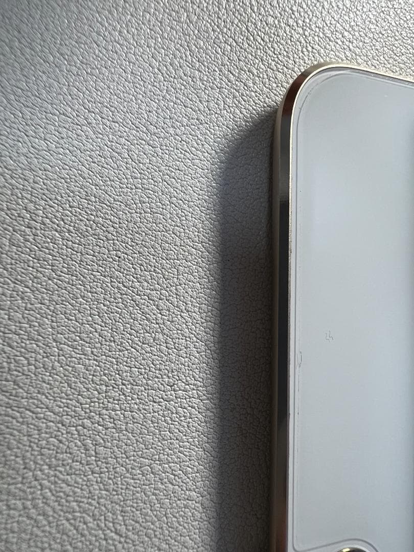 Apple iPad mini 4 Wi-Fiモデル 16GB MK9J2J/A