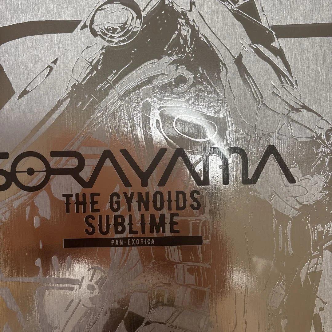 空山基 SORAYAMA THE GYNOIDS SUBLIME