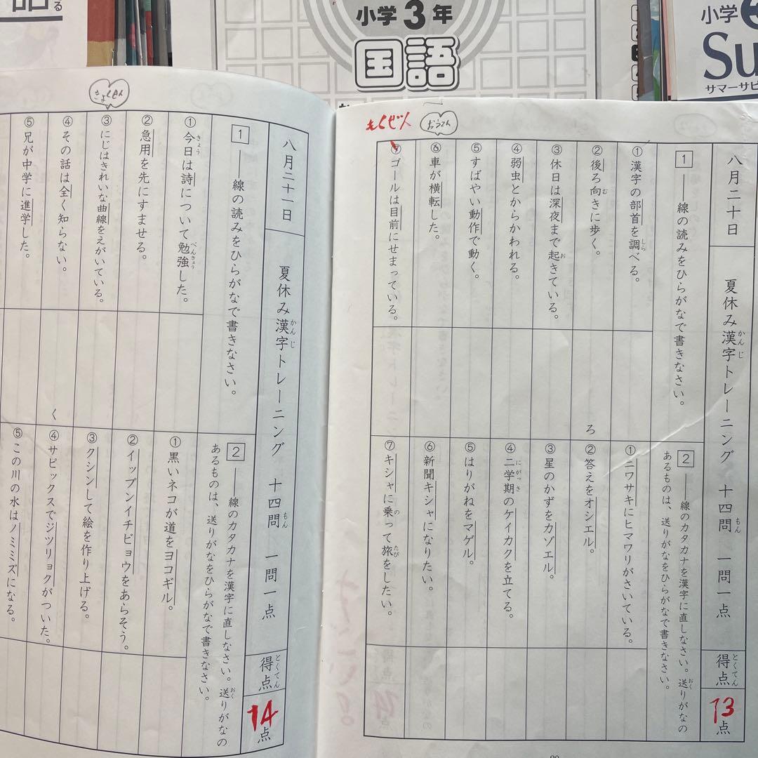 サピックス　国語　3年生 Daily・Winter・Summerセット
