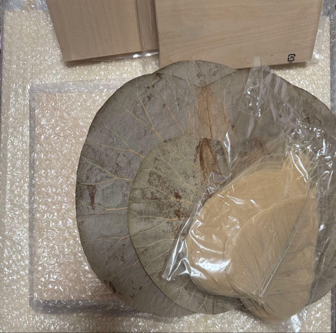 ボタニーペインティング　蓮の葉　インド菩提樹　パネルセット　おまけ付き