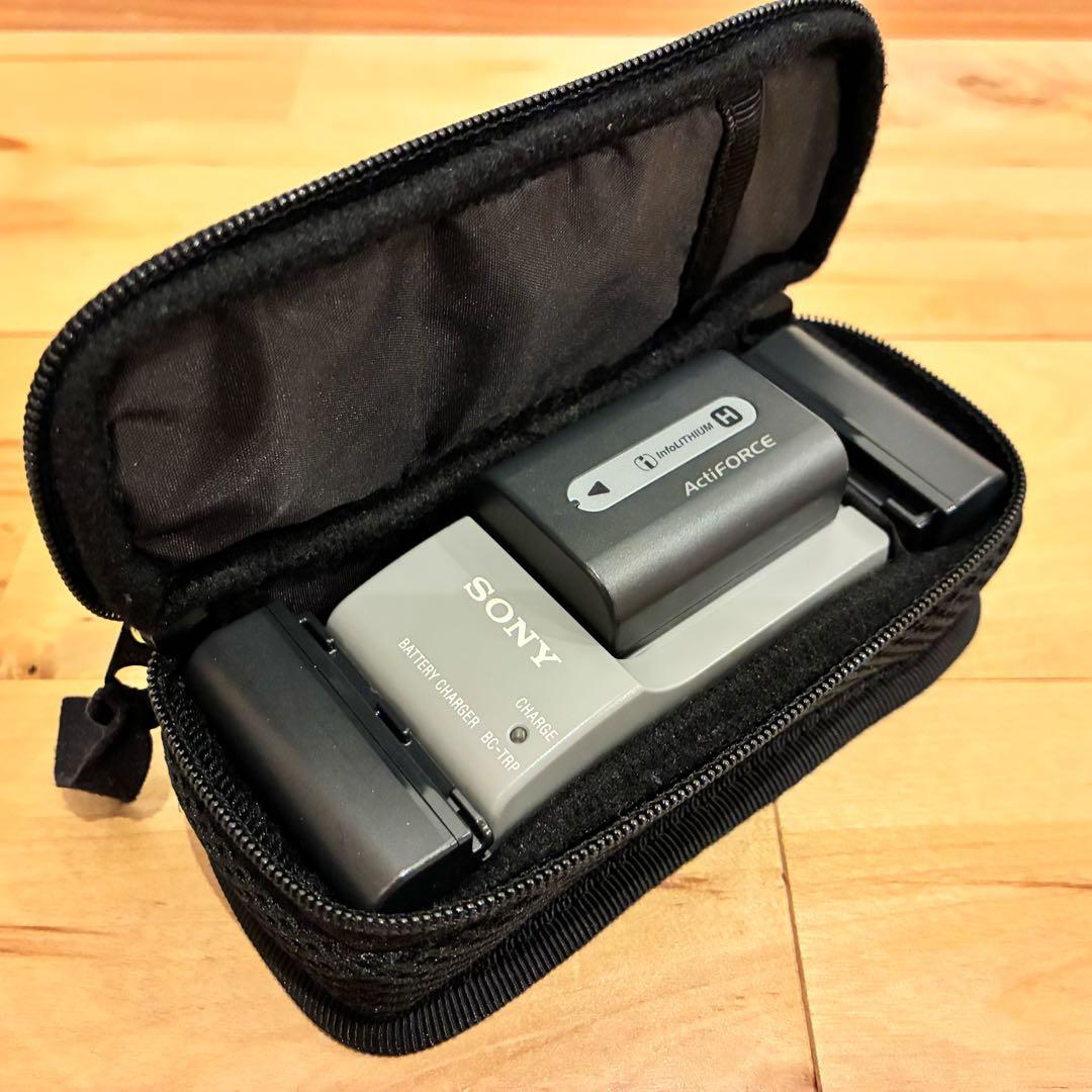 超美品‼️SONY ハンディカム HDR-TG5V オプション付き
