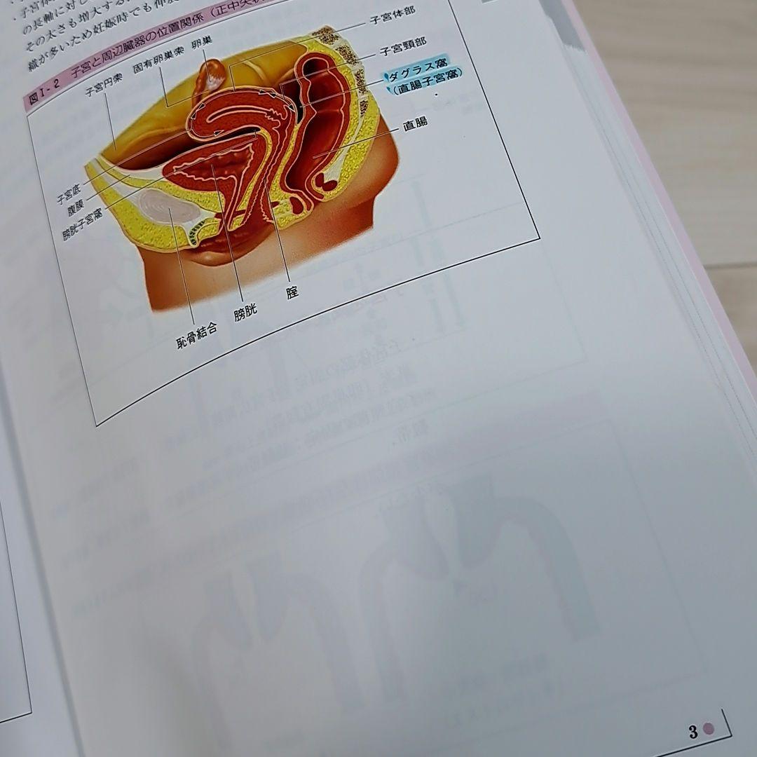 手にとるようにわかる婦人科エコーマニュアル