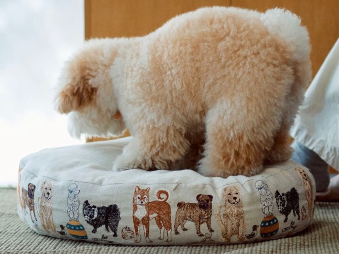 CORAL＆TUSK コーラル＆タスク Foinu 犬用 ベッドカバー