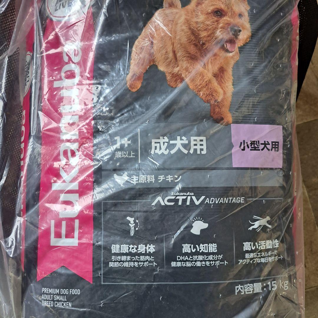 しいたんさん