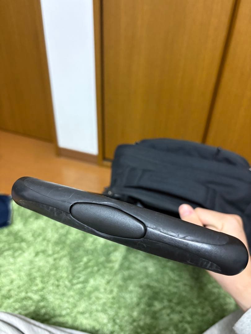 Patagonia キャリーバッグ 希少