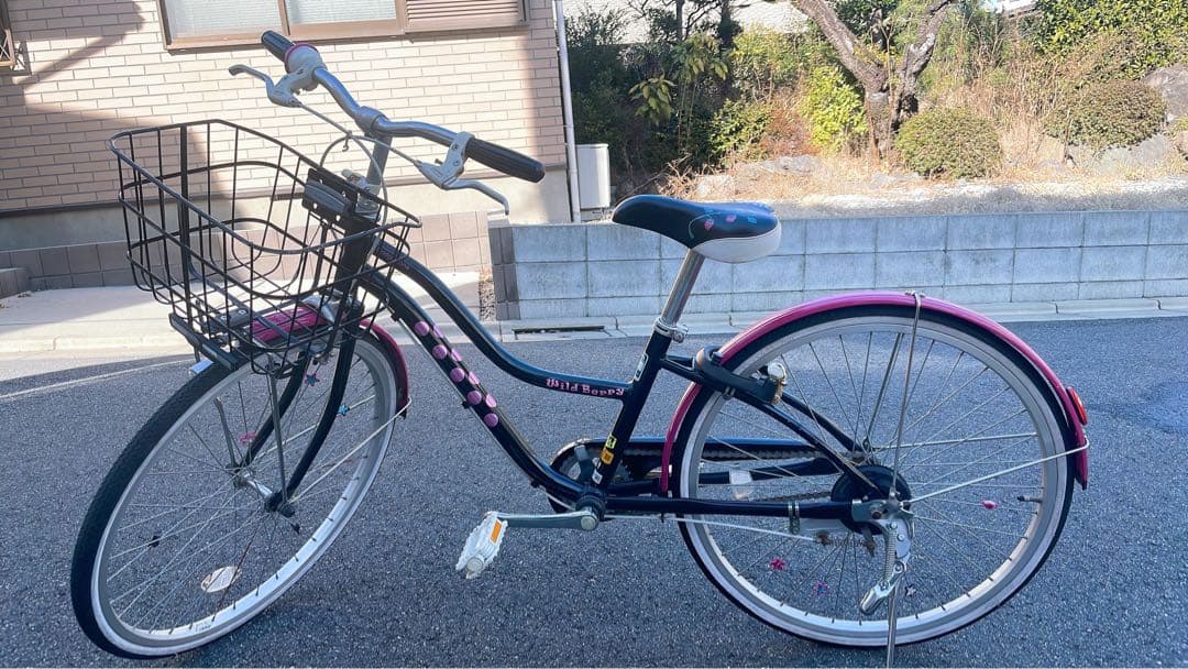 東京都　直接引渡し限定　子供用自転車 ブリジストン　24型