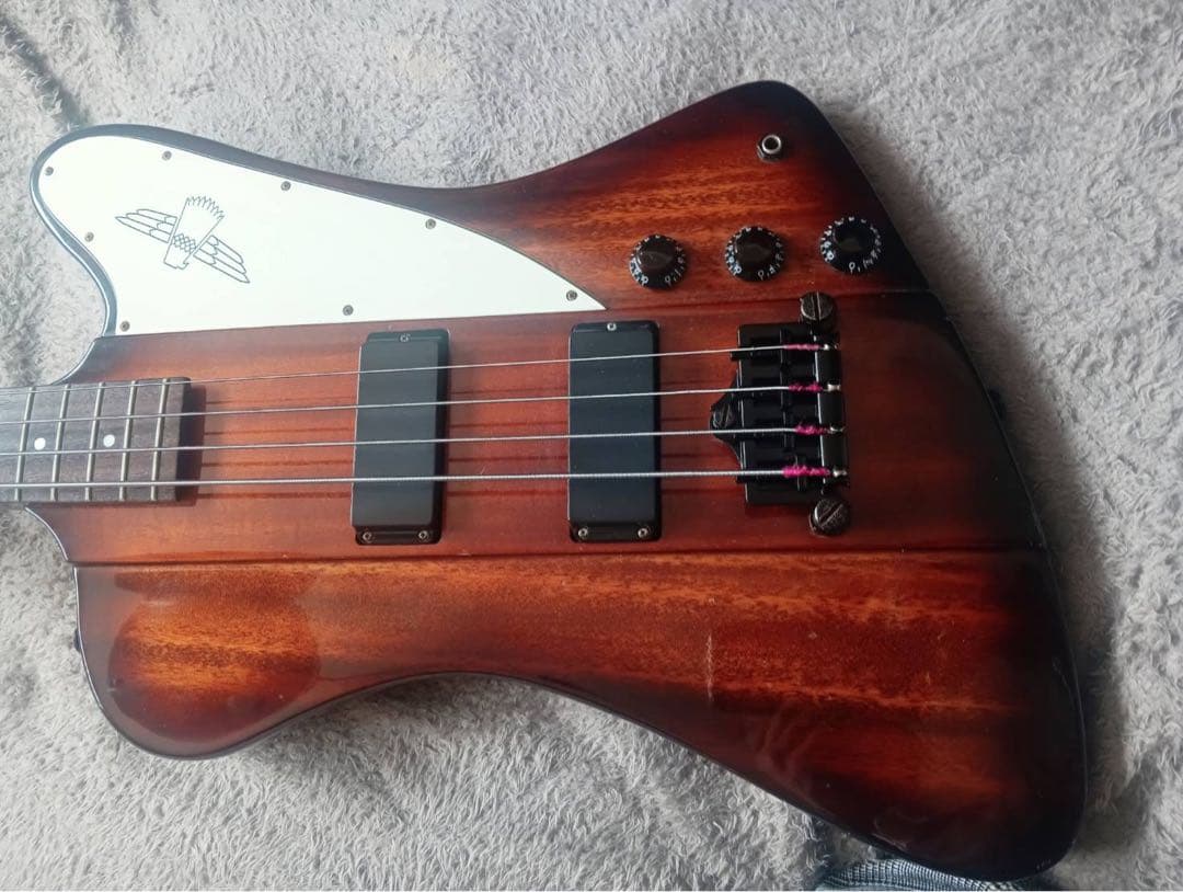連休セール　エピフォン　Thunder bird