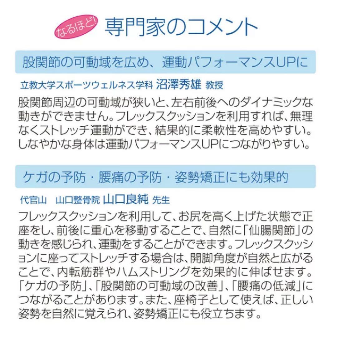 ストレッチ ピラティス ヨガ　骨盤調整　フレックスクッション　整体　サンテプラス