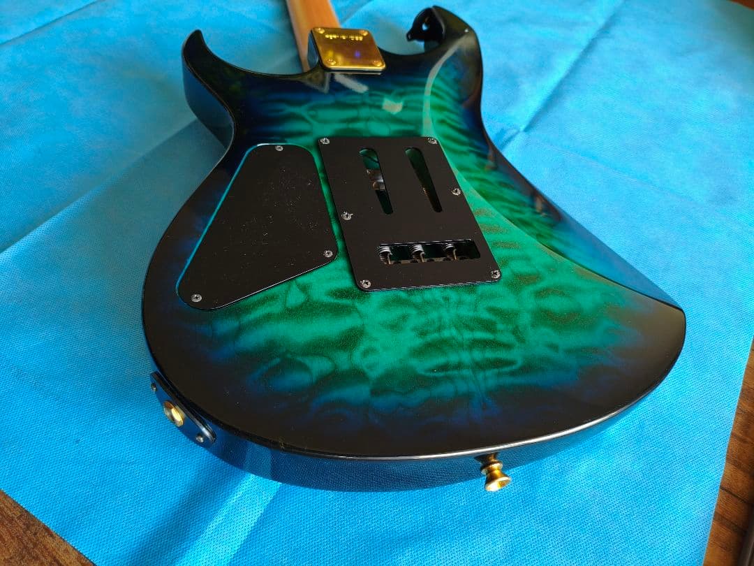 FERNANDES エレキギター FGZ