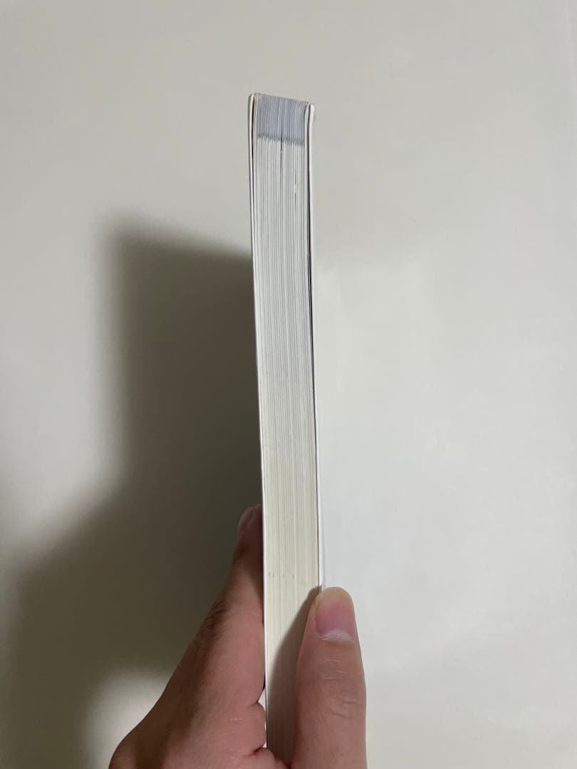 ペリー　歩行分析 正常歩行と異常歩行 第二版