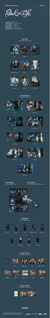 &TEAM Back to Life 会場限定トレカ＋CDコンプset