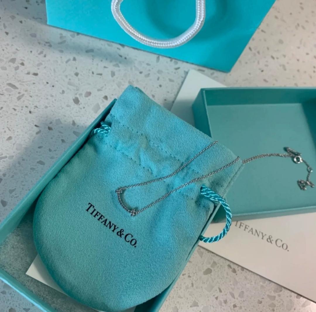 Tiffany & Co. シルバー カーブネックレス