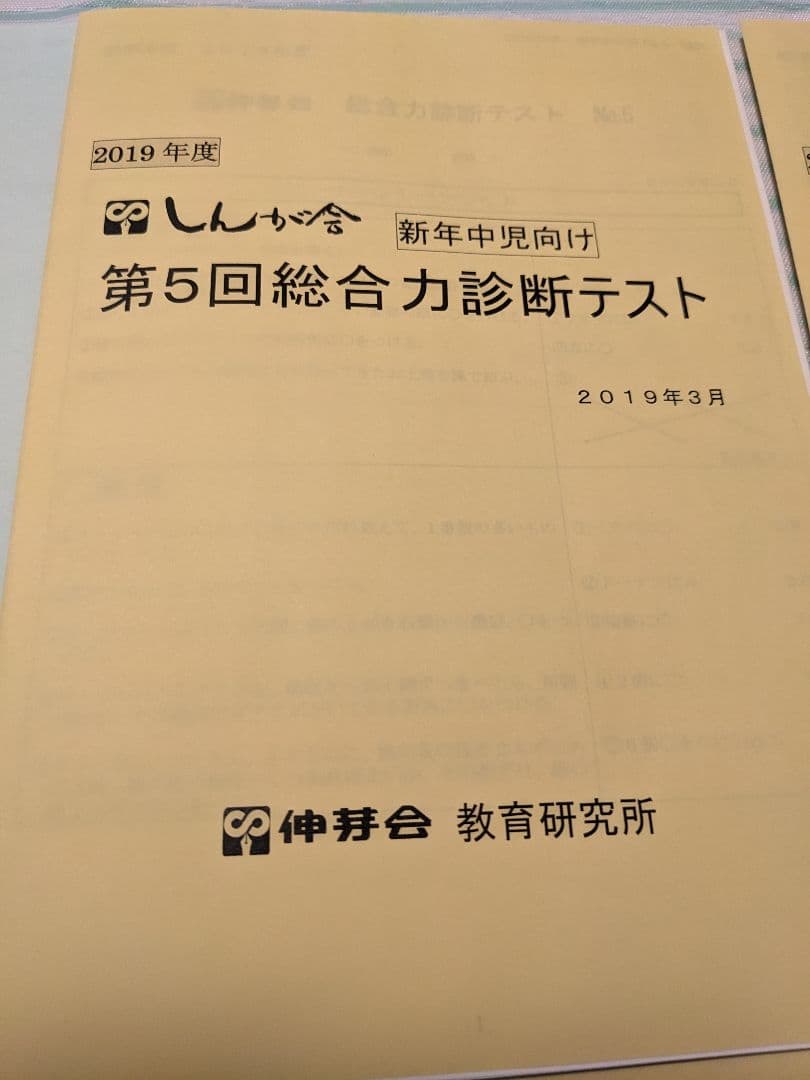 伸芽会　年中児向け 総合力診断テスト　6回セット