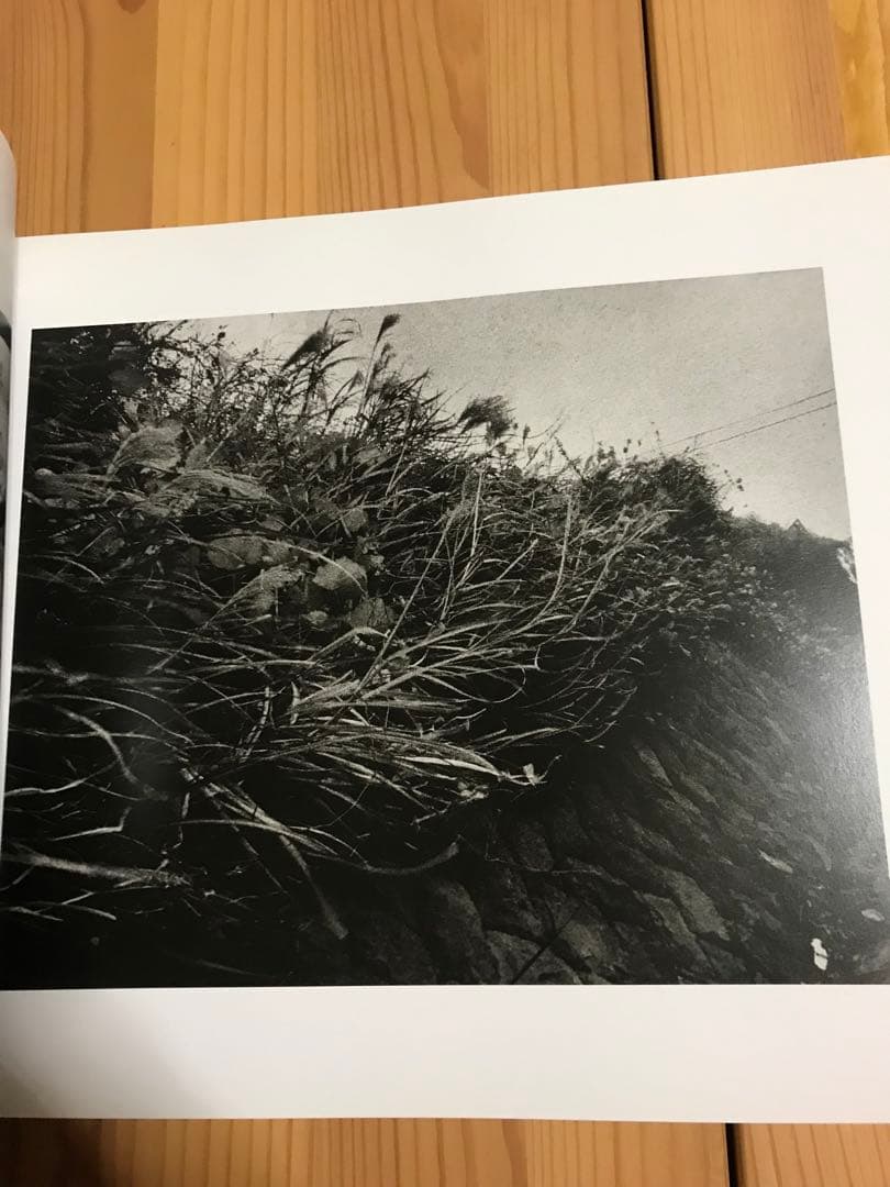 石内　都 Sweet  Yokosuka 1976-1980