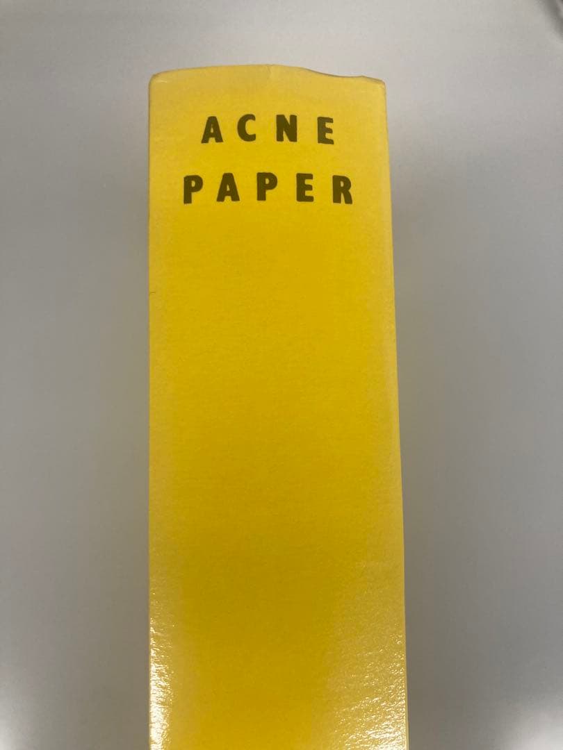 アート・デザイン・音楽 Acne Paper Issue 20 Golden