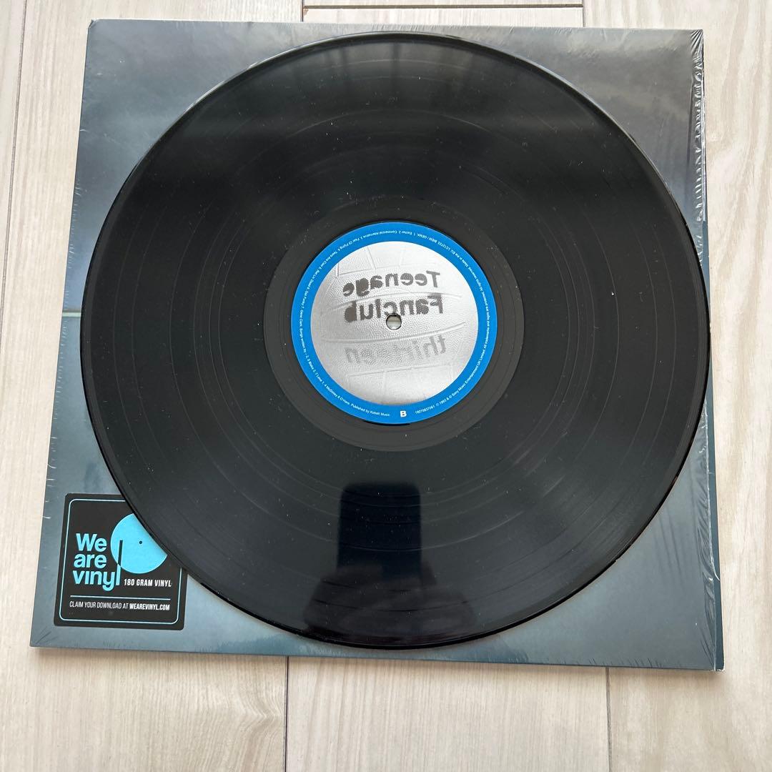 Teenage Fanclub thirteen ブラックレコード