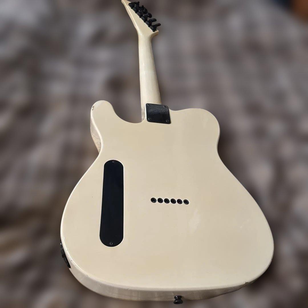 FERNANDES te-75bt buck-tick 星野